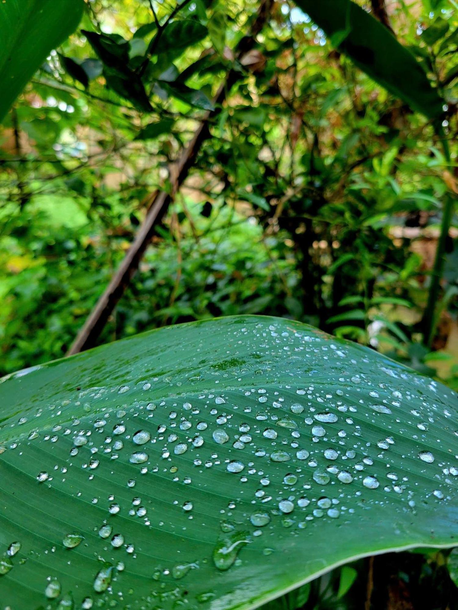 Nong Trai Thanh Thoi Ben Tre Eksteriør billede